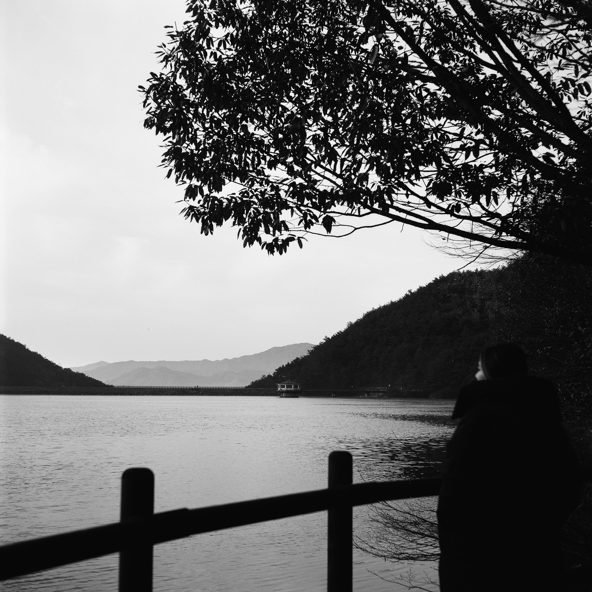 lake